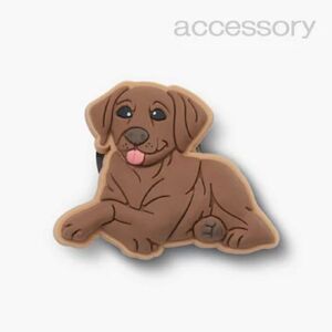 Crocs Egy&eacute;b Brown Lab Puppy unisex