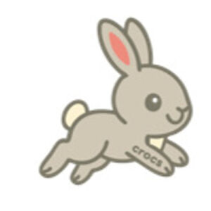 Crocs Egy&eacute;b Pet Bunny unisex