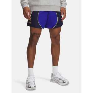 Under Armour Short P&aacute;nsk&eacute; kraasy Under Armour UA Icon Volley CB Shorts f&eacute;rfi