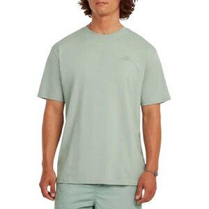 Oneill P&oacute;l&oacute; O'Neill Small Logo T-Shirt f&eacute;rfi